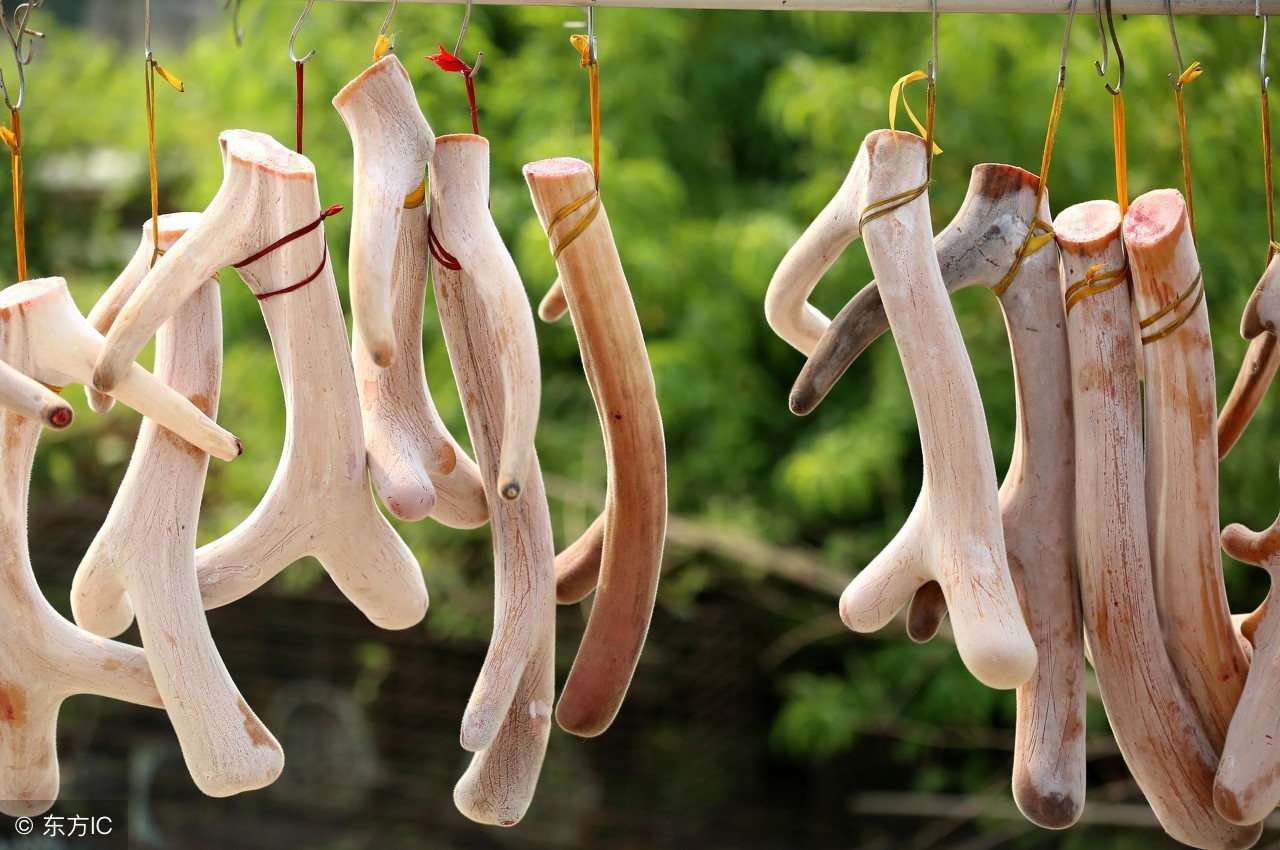 病后体虚滋补药,补虚的中成药有哪些