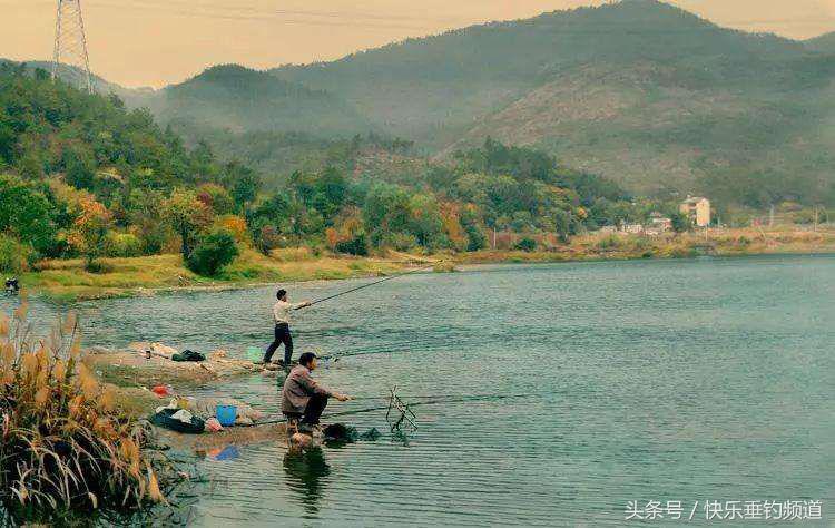 钓鱼100个专业术语,钓鱼的术语有哪些