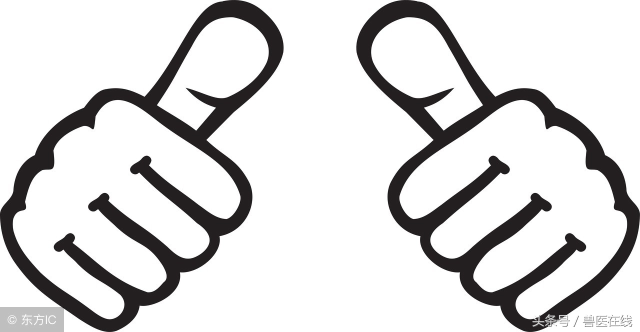 羊为什么断角,为什么羊要断尾巴