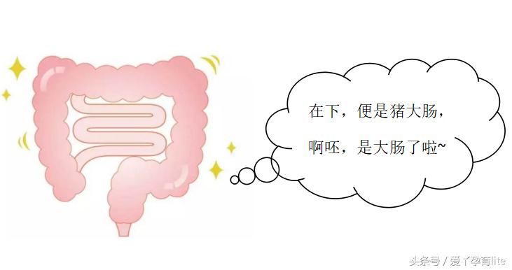 坐拥500吨美钞的发哥，拉的屎是不是金光闪闪的？