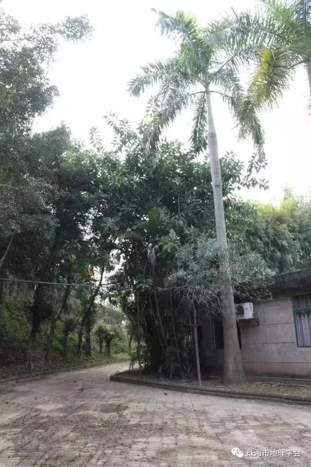 珠海以前是个小渔村吗,珠海是一座什么样的城市