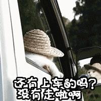 深圳顶级私房川菜,深圳最正宗的川菜