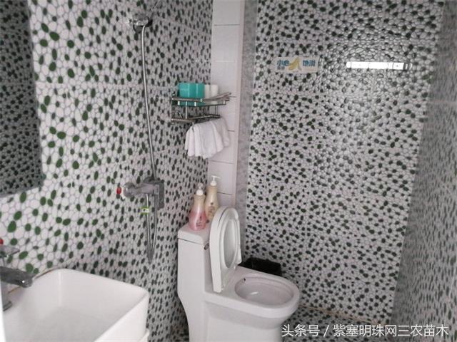 北京龙庆峡民宿,北京龙庆峡民宿第一名