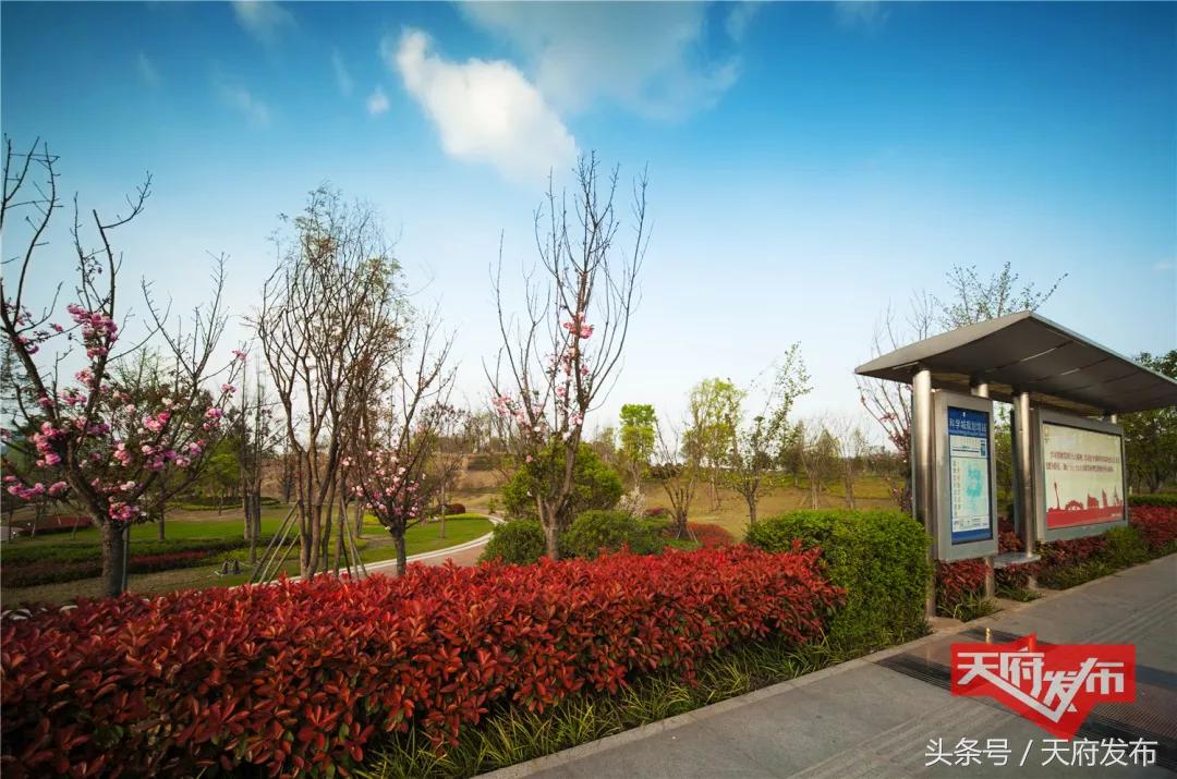 天府新区国庆哪里玩,国庆假期游玩攻略成都天府新区