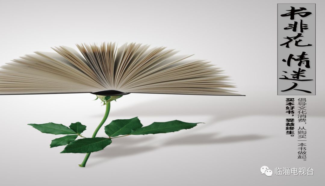 淄博临淄婚礼现场,临淄公园婚礼现场