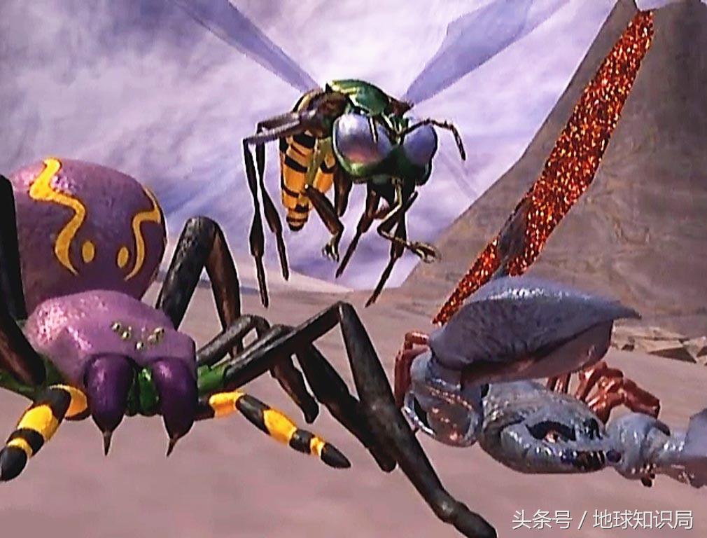 地球上最可怕的虫子,世界上最可怕的而且最厉害的虫子