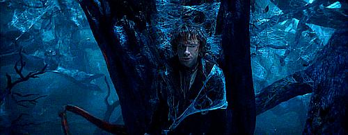 蜻蜓比盆大,蜘蛛脸上挂,远古巨虫要称霸——可以!地球知识局