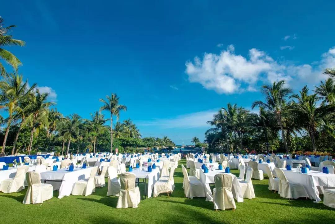 大s和杨子姗是一个人吗,大s杨子姗