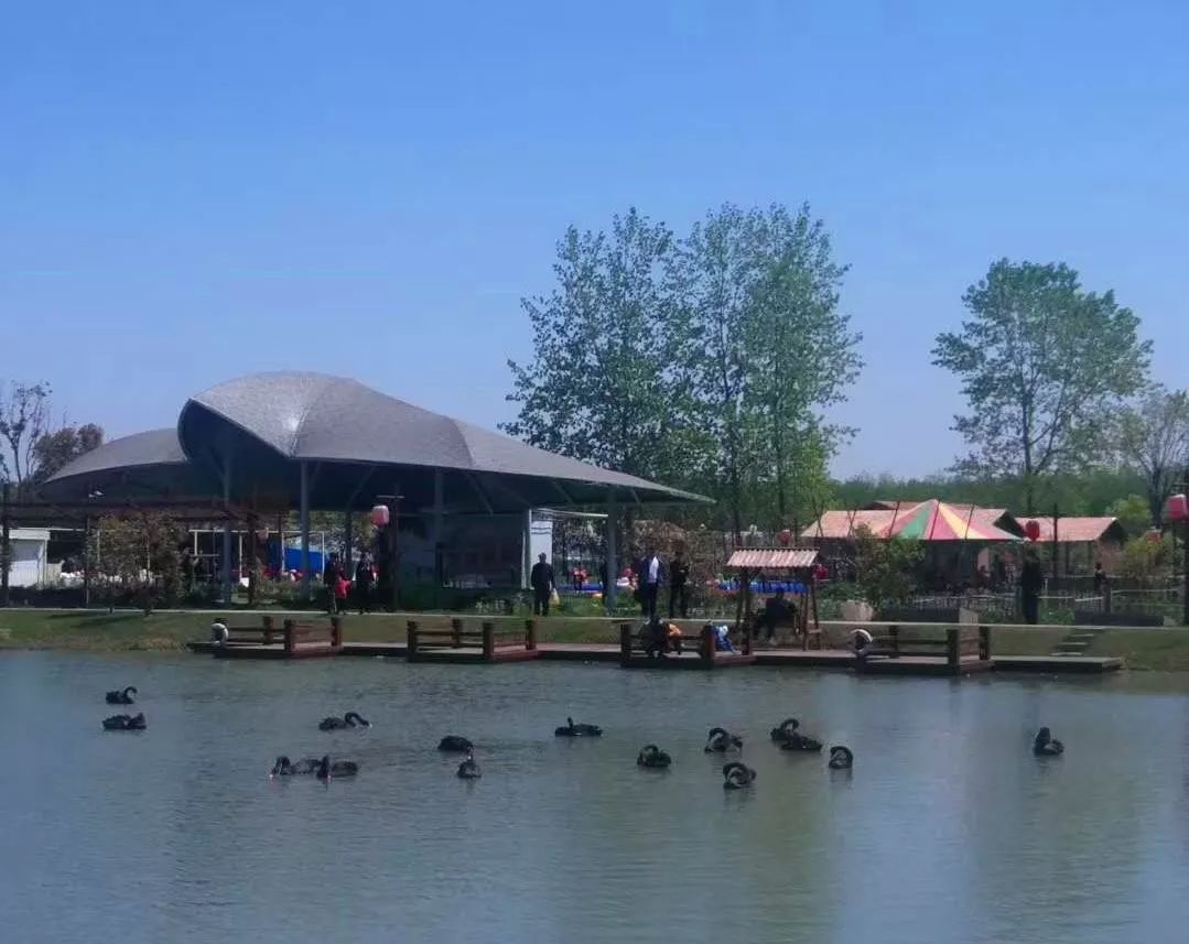 只有120亩的庄园，依靠营地教育，每年游客超十万，在股交所挂牌