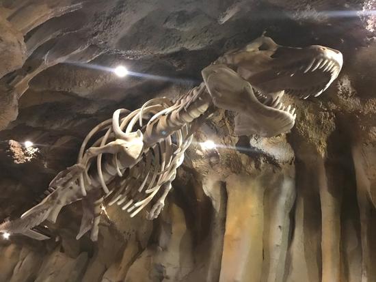 蝶舞生活倾城绽放杭州首个蝴蝶公园在西溪欢乐城盛大开园