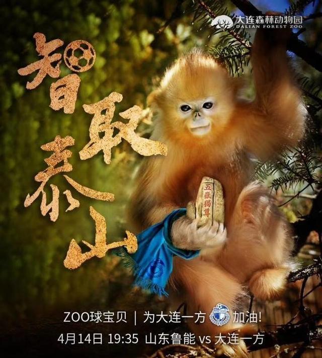 2019中超重庆队海报,国安联赛海报图片