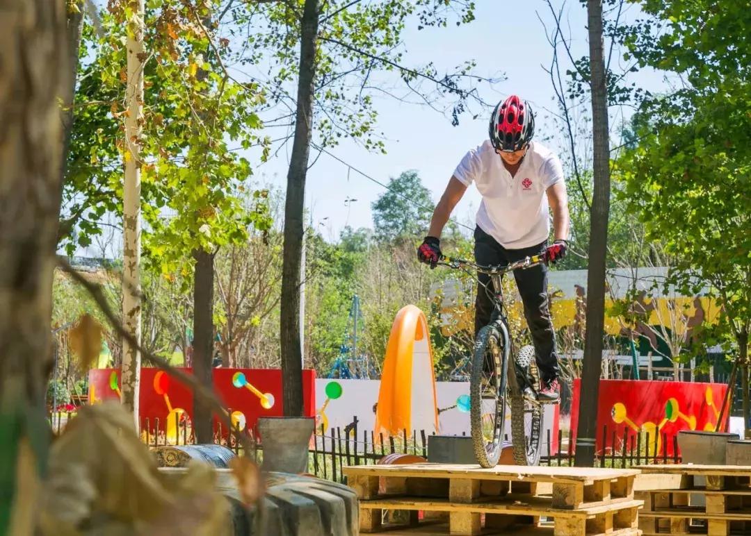 郑州足球小镇有真草足球场吗,郑州足球小镇现状