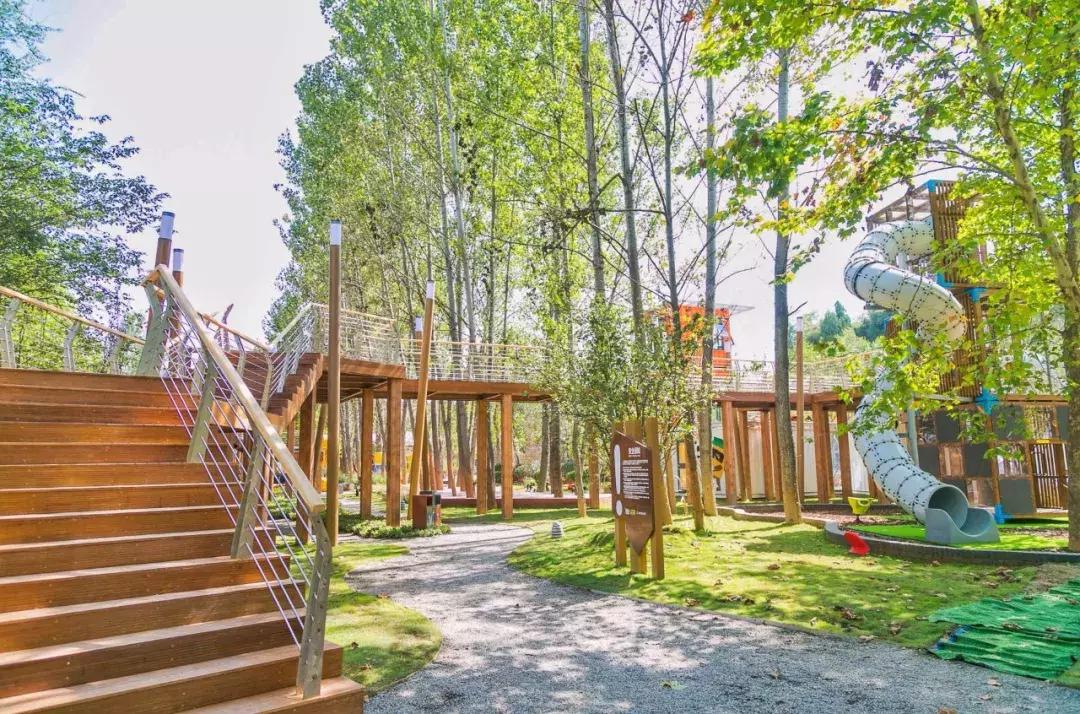 郑州足球小镇有真草足球场吗,郑州足球小镇现状