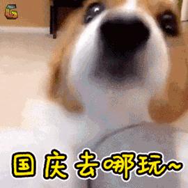 金山万达吃喝玩乐,金山万达套餐