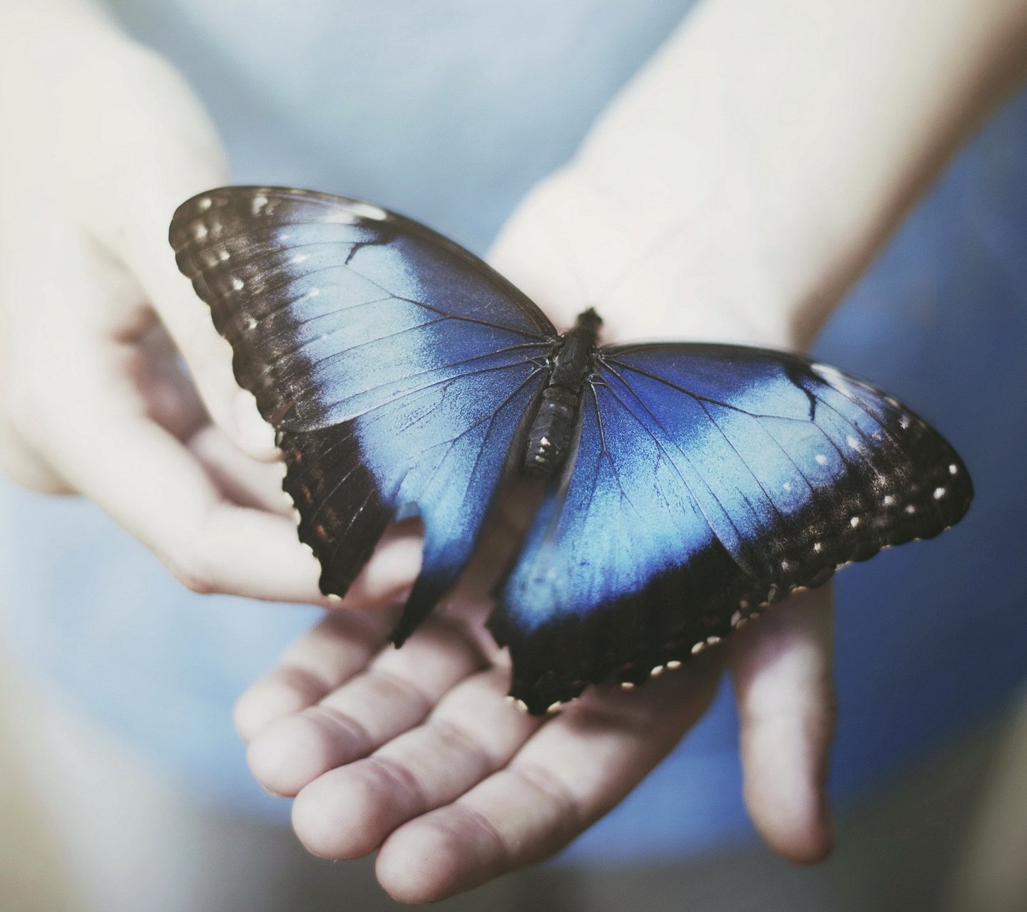 没钱时我们应该怎么办,没有钱咋办呀