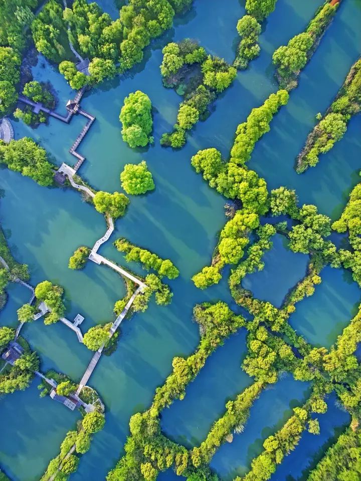 什么是中国传统文化,什么是中国文化