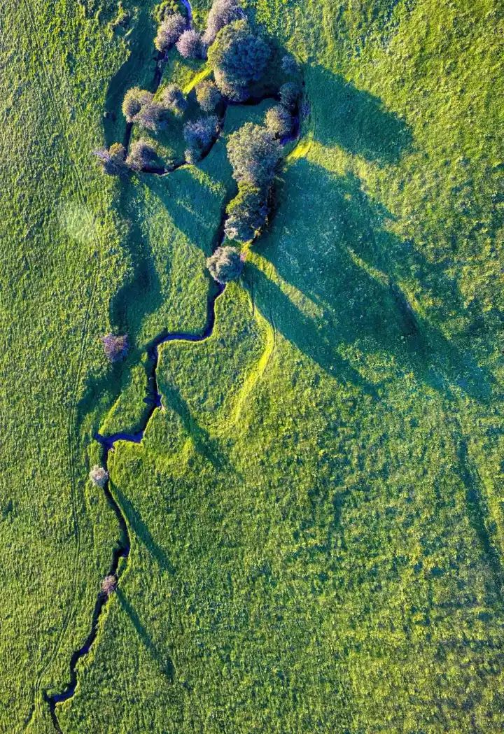 什么是中国传统文化,什么是中国文化