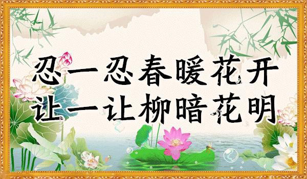 会动的美丽的图片,会动的照片绝美