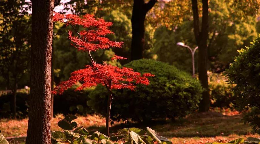 激励人心励志的古诗词,经典励志古诗60句