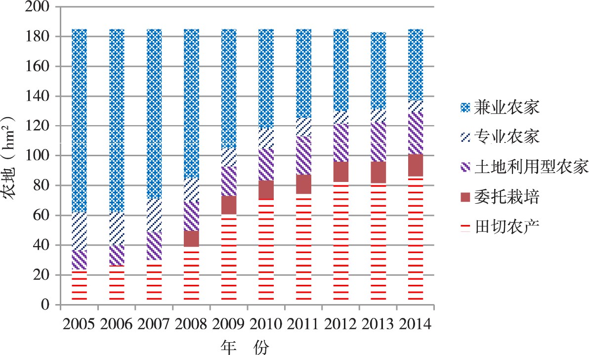 集落营农：小农的一种出路——以日本长野县饭岛町为例