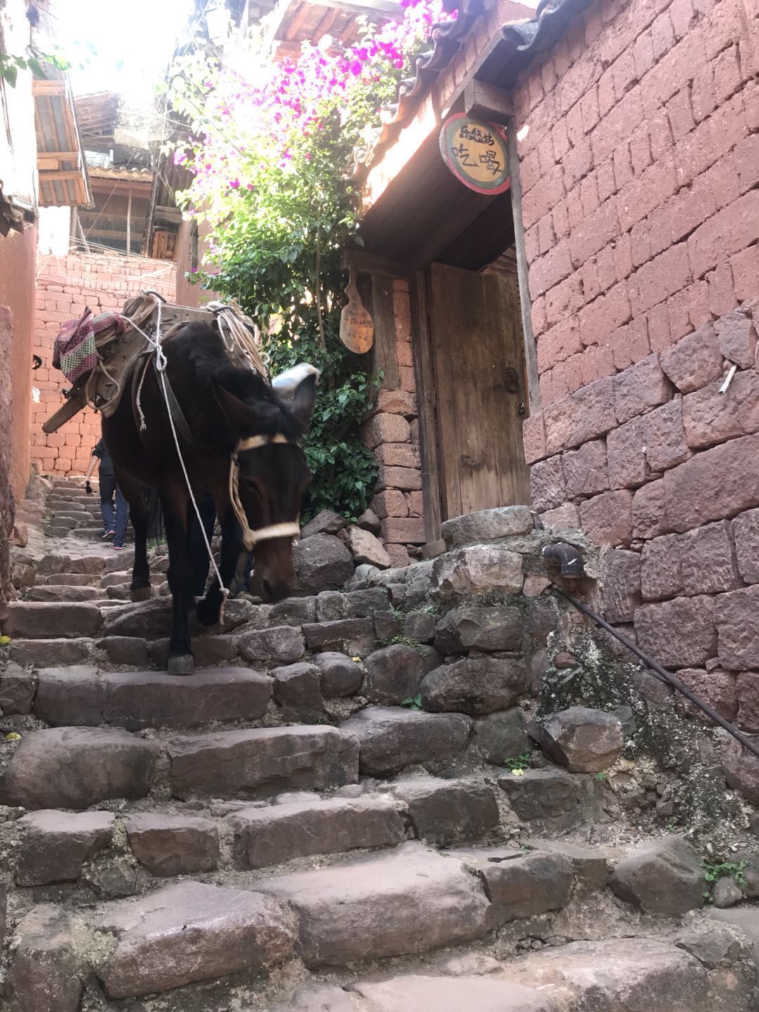 云南诺邓美食,云南最古老的诺邓白族古村