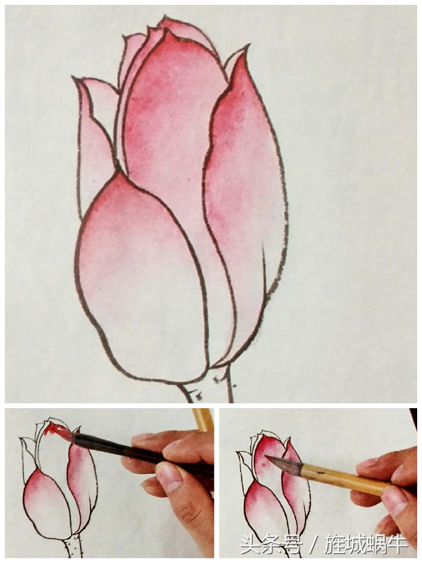 国画工笔重彩教程,国画渲染技法视频