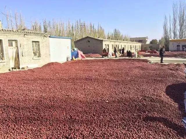 一条拼团｜日本植物精华染发膏，*疆新**若羌红枣