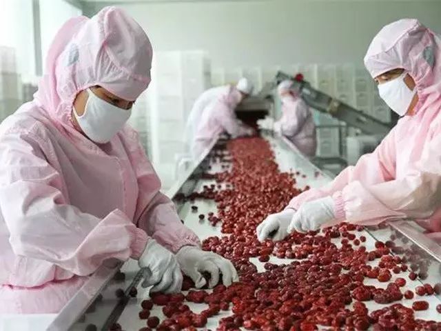 一条拼团｜日本植物精华染发膏，*疆新**若羌红枣