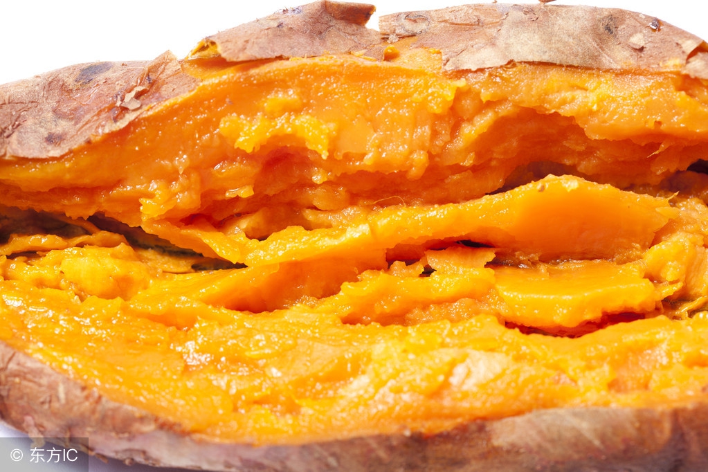 5种鲜为人知的对狗狗有益的补品,阿拉斯加5个月毛发变得很粗糙