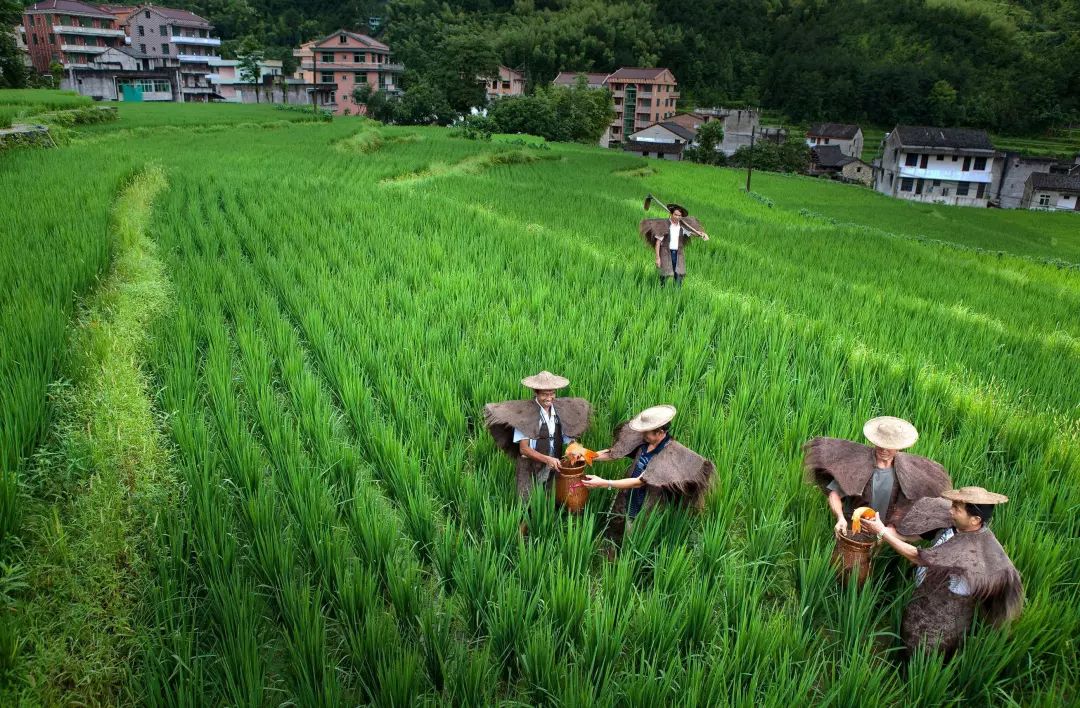 全国十大示范村名单,湖南100个农村特色示范村视频