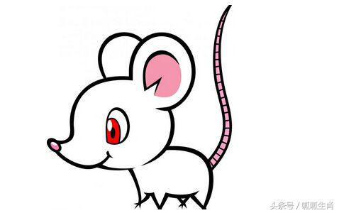 生肖猪和这三个属相在一起最吃亏,12生肖猪最听哪个生肖的话