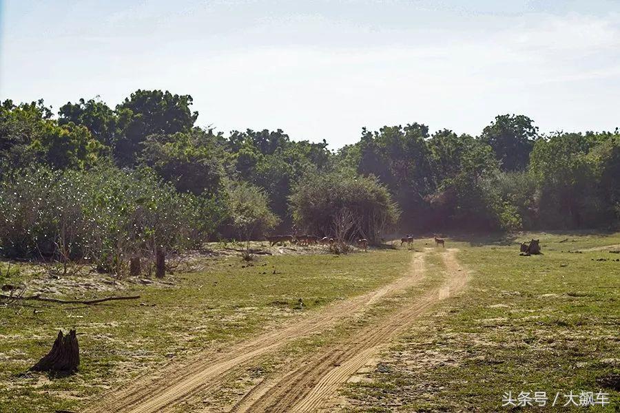 印象斯里兰卡全景,旅行记斯里兰卡