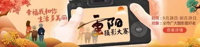 汉十高铁最新消息新闻,汉十城际高铁最新消息