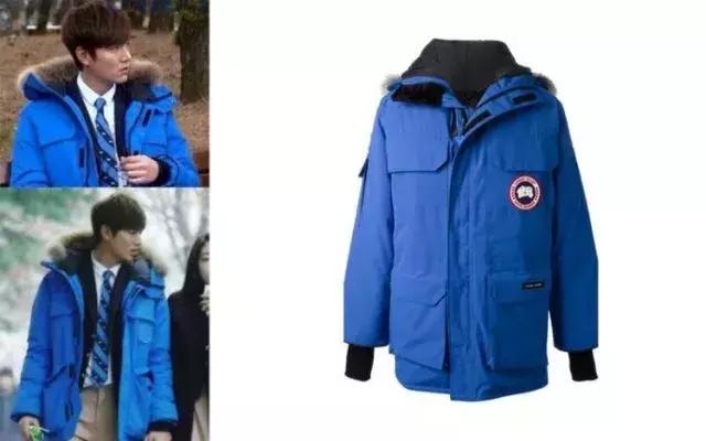 加拿大鹅什么时候涨价,加拿大鹅哭了的视频