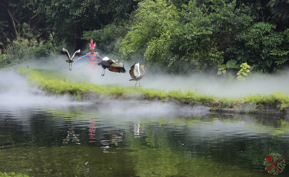 广州长隆乐园最全游玩攻略,广州长隆乐园旅游攻略三天两夜