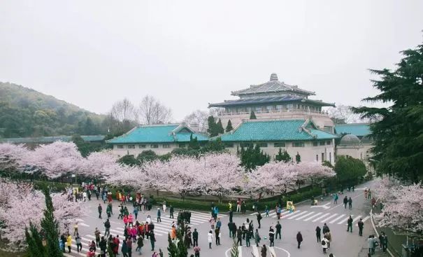 以华中师大为坐标原点，丈量大武汉