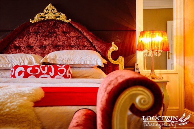 第一次采摘火龙果的体验,高明采摘火龙果