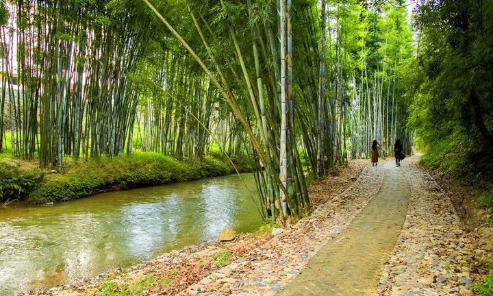 古驿道南粤古驿道,南粤古驿道旅游景点