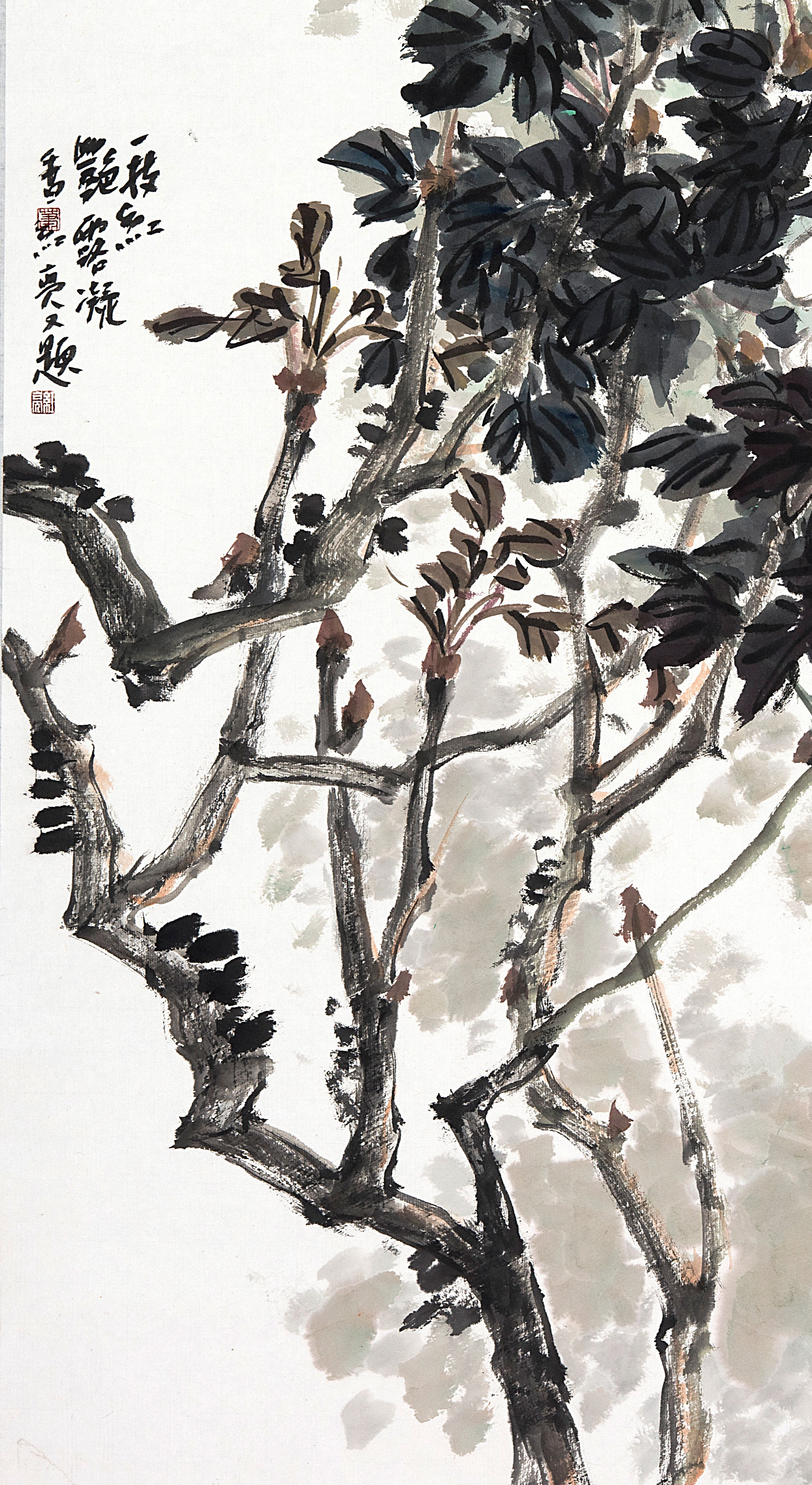 有画说｜赏传统写意花鸟《一枝红艳露凝香》，闲聊唐宫贵妃秘史