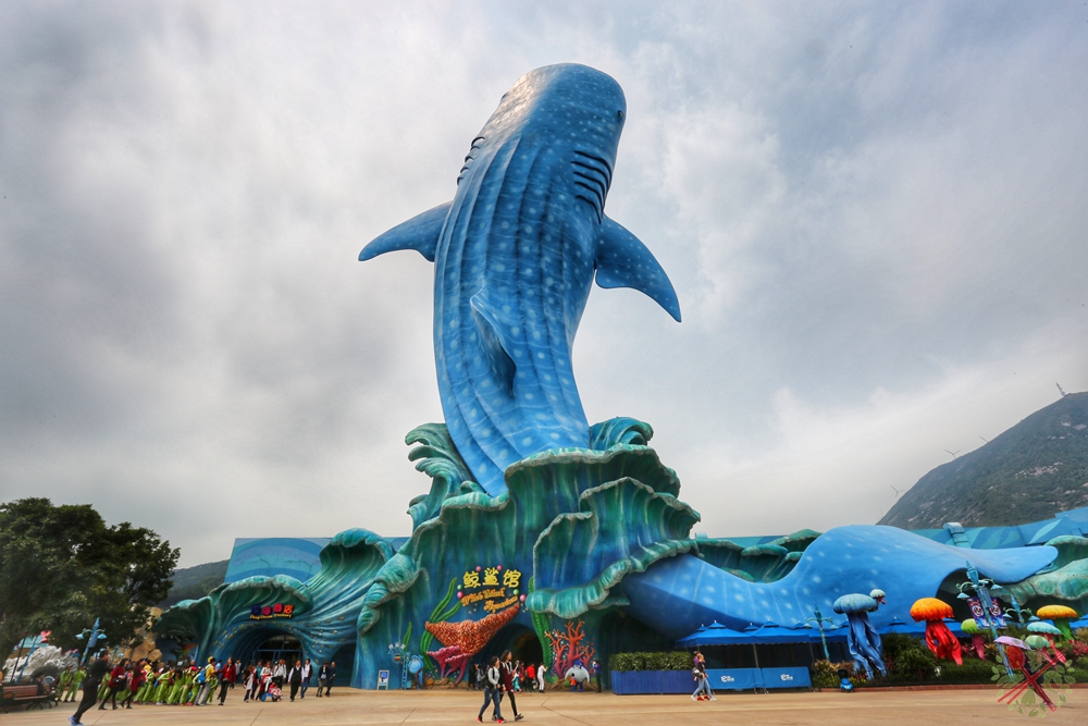 珠海长隆海洋王国企鹅三天两晚,珠海长隆海洋王国企鹅北极熊