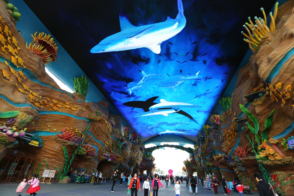 珠海长隆海洋王国企鹅三天两晚,珠海长隆海洋王国企鹅北极熊