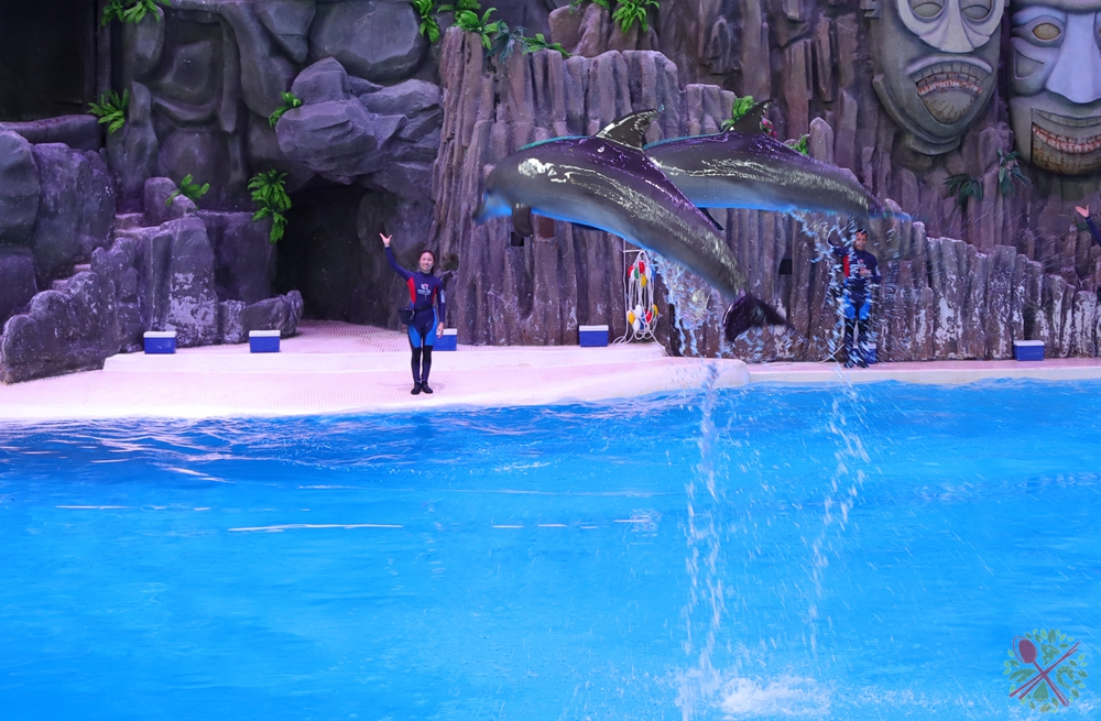 珠海长隆海洋王国企鹅馆北极熊馆,珠海长隆企鹅海洋王国攻略