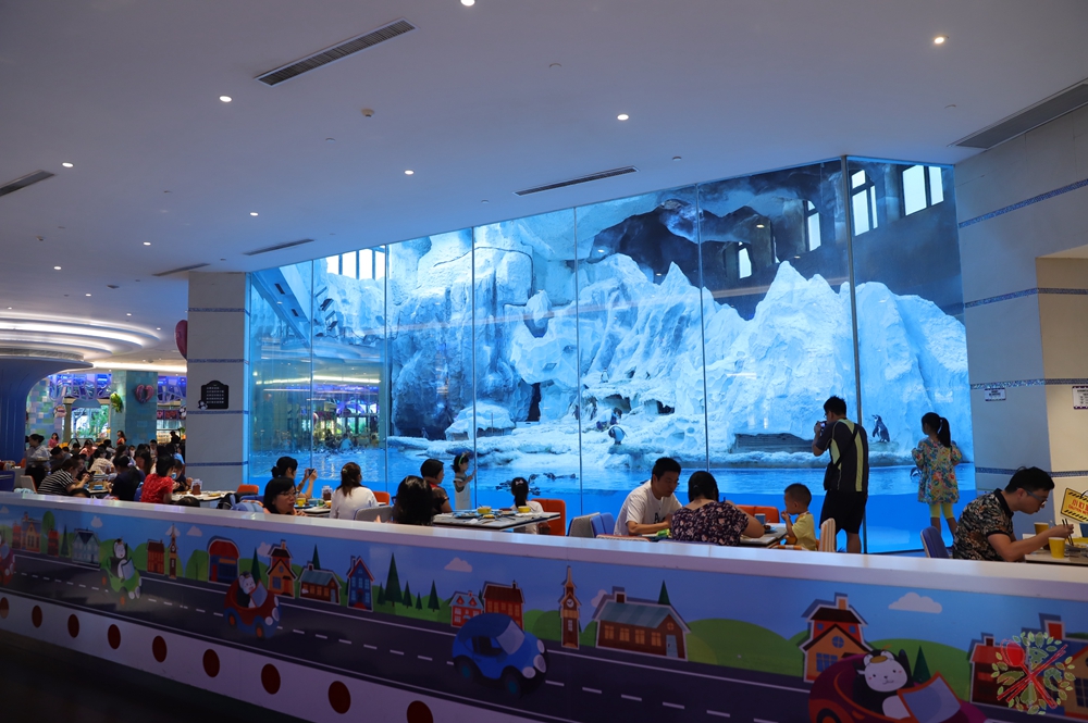 珠海长隆海洋王国企鹅馆北极熊馆,珠海长隆企鹅海洋王国攻略