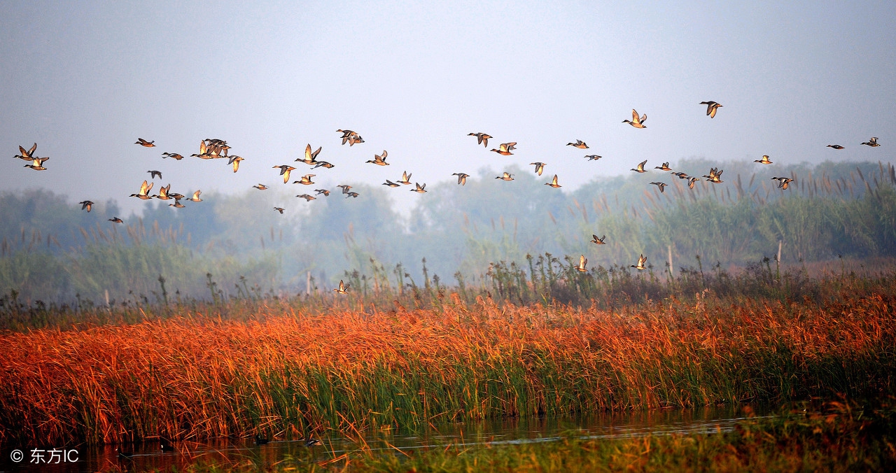 心旷神怡的自然之旅,心旷神怡的地方自驾游