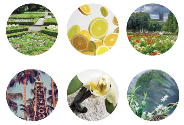 贝嫂推荐比香水还好闻的护手霜,贝嫂同款护手霜