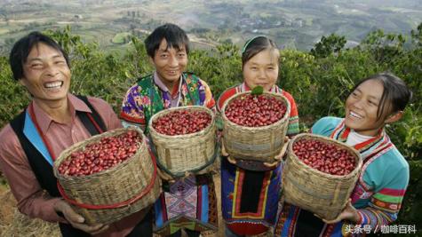 小白去咖啡店怎么点咖啡,小白怎样去操作咖啡店