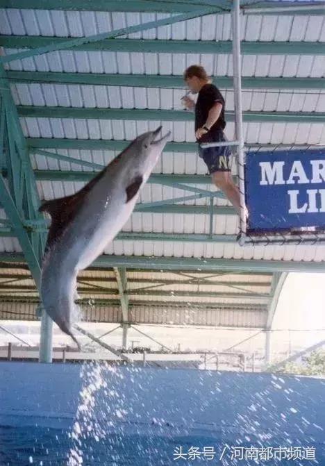 把别人骗得团团转,把一个人骗得团团转