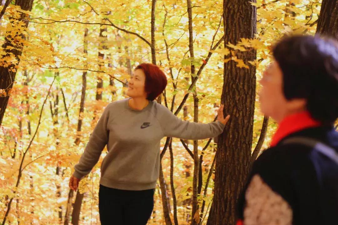 云南一天的游客人流量,云南人多的景点怎么拍照