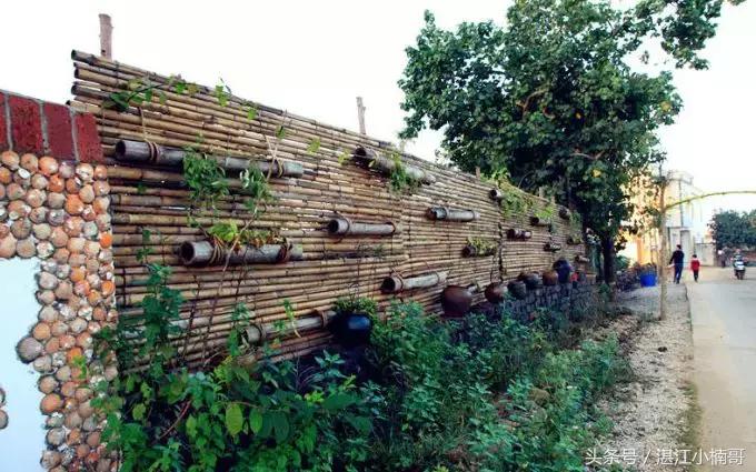 徐闻最有名的村庄,徐闻最出名的村子
