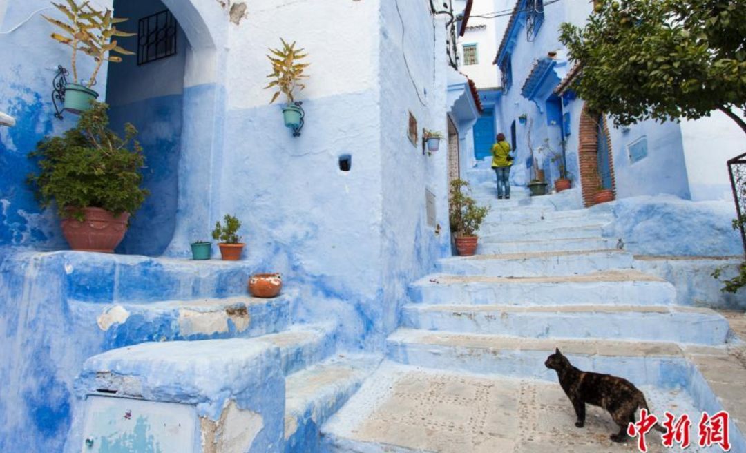 中国护照免签一览表,普通护照免签一览表